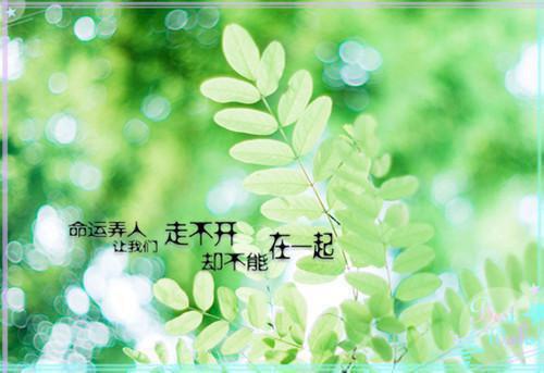 (番外)+(全文)春节期间，爸妈要我嫁给家暴男（林亚轩可心）全文免费阅读无弹窗大结局_春节期间，爸妈要我嫁给家暴男最新章节列表（林亚轩可心）