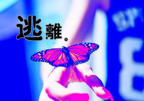 公主童话故事大全精选文章