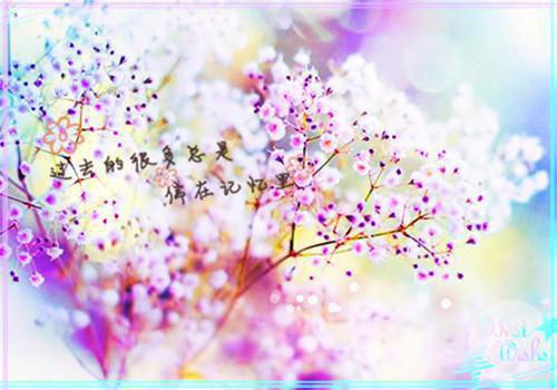 程芫华季戚延全文免费阅读无弹窗大结局_（程芫华季戚延程芫华季戚延小说）程芫华季戚延最新章节列表（程芫华季戚延）
