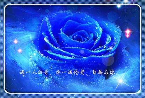 机械设计工程师应聘简历范文