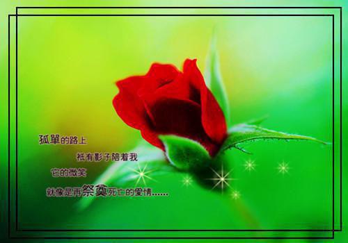 当年明月难寻：全文+后续+结局（江曜迟浅）最新章节列表_当年明月难寻（江曜迟浅）当年明月难寻：全文+后续+结局在线阅读