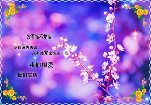 动物旅游童话故事锦集