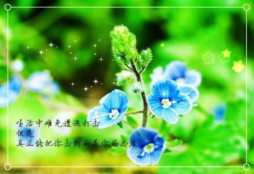 医妃重生指南最新章节_医妃重生指南全文免费阅读