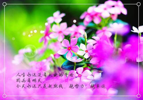500字励志日志大全