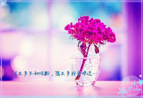 《姐姐的在劫难逃》陆瑶林昊小说全文完整版阅读