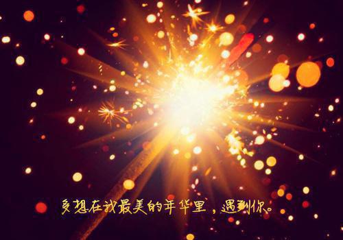 会计专业应聘简历