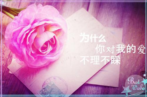风火狼藉全文免费姜软软谢斯宸读无弹窗大结局_（姜软软谢斯宸风火狼藉小说）风火狼藉最新章节列表（姜软软谢斯宸）
