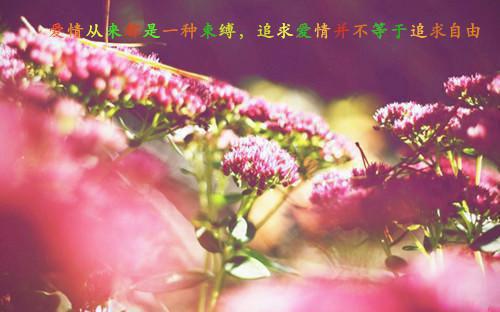 我的病娇女总裁老婆苏轻语霍明全文免费阅读（爱无法挽回，来世再见说）全文免费苏轻语霍明读无弹窗大结局_爱无法挽回，来世再见说苏轻语霍明最新章节列表（苏轻语霍明）