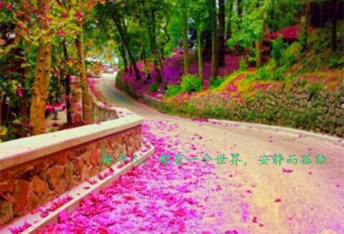当爱恨如潮生：精彩节选试读裴叙白完本在线小说免费阅读