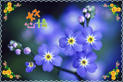 感悟人生的经典句子精选大全