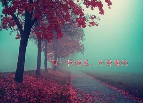 三生三世十里桃花经典台词语句大全