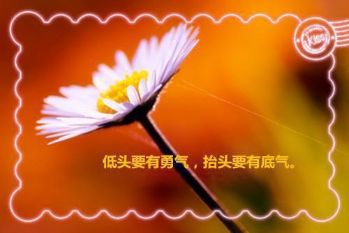 励志故事的小分享