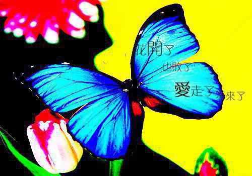 关于安徒生童话故事作文