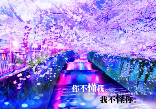 村上春树有哪些好看的书