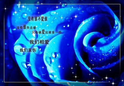 2023年会计个人简历范文