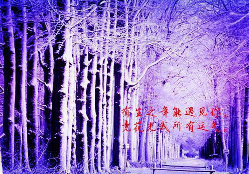 若若的小说 若若全文免费阅读