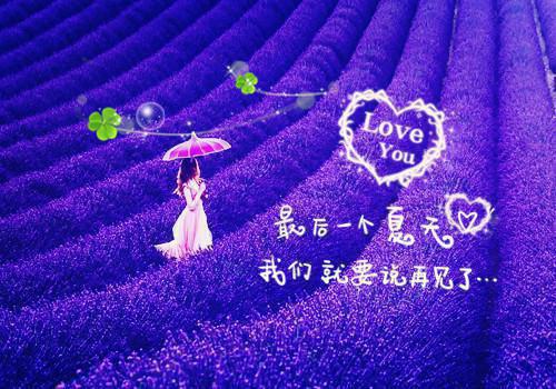 全章节小说昔年听雨主角为杨璟之虞茗阅读