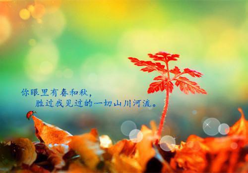 邓云舒盛瑄景最新章节_邓云舒盛瑄景全文免费阅读