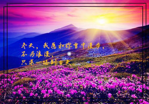 此情无岸可泊最新章节_此情无岸可泊全文免费阅读