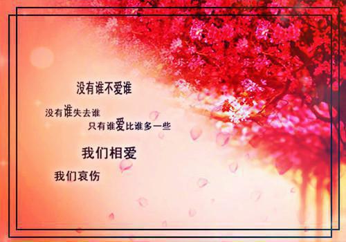 无广告小说安小梅凌正风-安小梅凌正风川在线阅读
