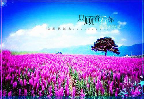 励志的经典成语故事精选