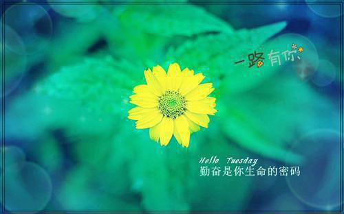 我在精神病院做万朝帝师最新章节_我在精神病院做万朝帝师全文免费阅读