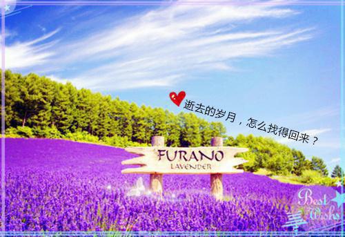 (番外)+(全文)七年情深一朝断：全文+结局+番外免费下载阅读_(傅怀宴沈檀珠)七年情深一朝断：全文+结局+番外最新章节列表（傅怀宴沈檀珠）