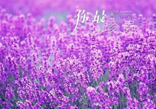等不到花开最新章节_等不到花开全文免费阅读