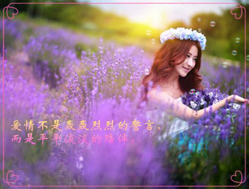 IQC主管的个人简历模板