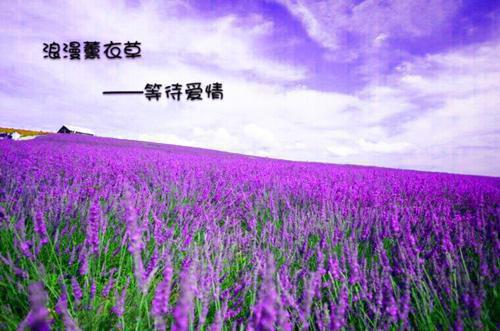 我跨过时间洪流：全文+后续+结局（江暮洲姜初夏星达）最新章节列表_我跨过时间洪流（江暮洲姜初夏星达）我跨过时间洪流：全文+后续+结局在线阅读
