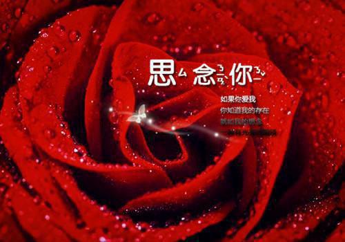 失恋励志小故事