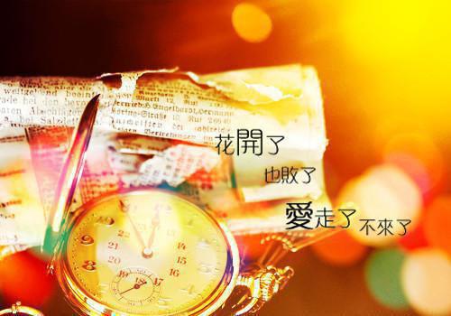 企业家的成功故事经典