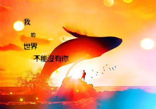 个人简历表空白表格