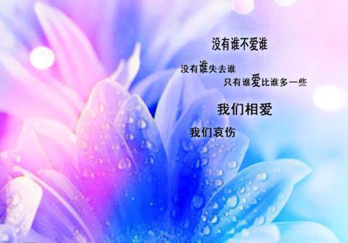 崔万志的励志故事