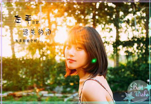 采购文员应聘简历范文