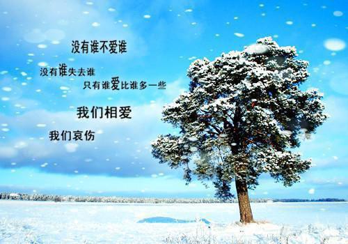 沈青梅萧无尘最新章节_沈青梅萧无尘全文免费阅读