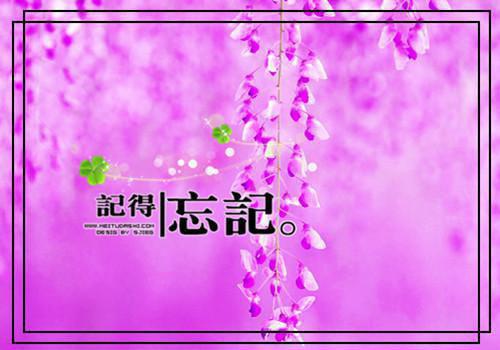 女友骗我得癌症，我转头娶了青梅陈茉郑文免费章节试读
