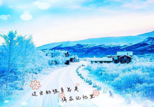 天才睿王妃最新章节_天才睿王妃全文免费阅读