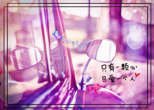 （倘若誓言随风散）沈慕川阮南音：+番外+后续起点章节+阅读即将发布预订