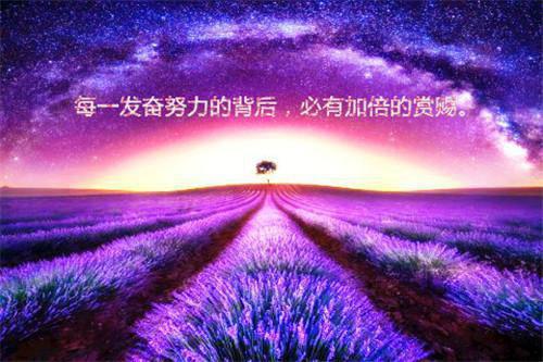 林云昊郑恬妤（林云昊郑恬妤知乎）全文免费阅读无弹窗大结局_（林云昊郑恬妤无弹窗）