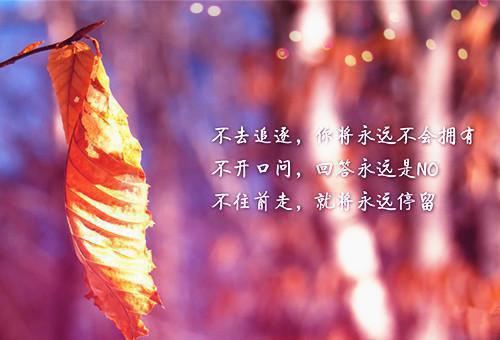 沈诺陆劲川小说（沈诺陆劲川小说）全文免费阅读无弹窗大结局_沈诺陆劲川免费阅读最新章节列表（沈诺陆劲川小说）