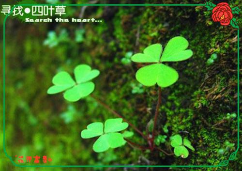 男孩子必读的励志书籍推荐