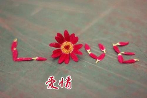 分享一本言情小说倾家荡产后，虚伪亲戚撕破脸 刘天吴磊无广告免费阅读