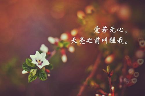 丰富多彩的暑假生活500字日记4篇