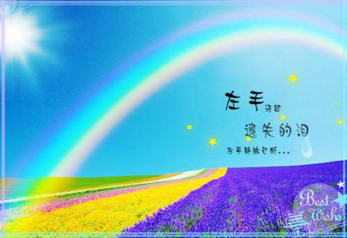 助教求职简历表格