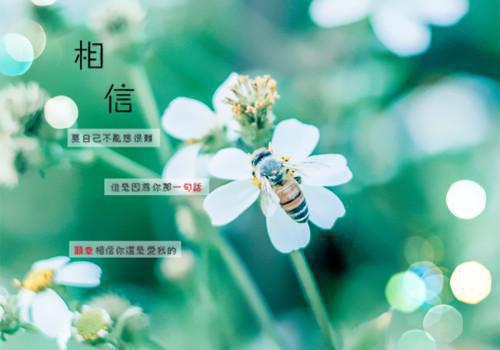 孤夜星寒最新章节_孤夜星寒全文免费阅读