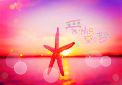 江雨薇陆政军小说（江雨薇陆政军）全文免费阅读无弹窗大结局_(江雨薇陆政军)江雨薇陆政军小说免费阅读无弹窗最新章节列表（江雨薇陆政军）