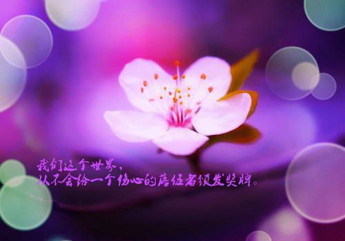 个人简历网页模板范文
