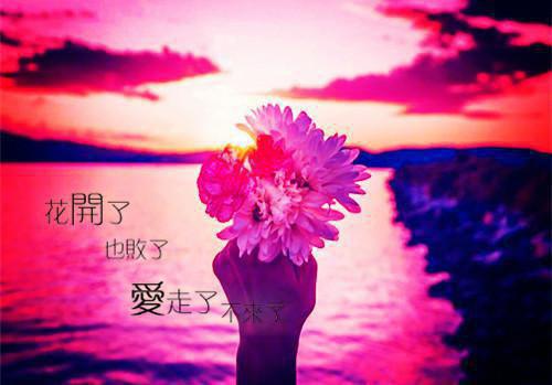 阎浮阎伞最新章节_阎浮阎伞全文免费阅读