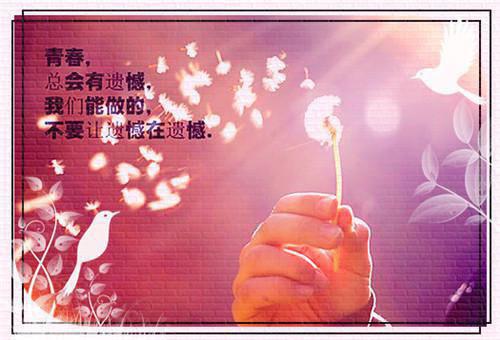 跟单客服的英文简历表格